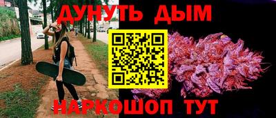 сатива Аша