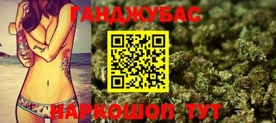 сатива Аша