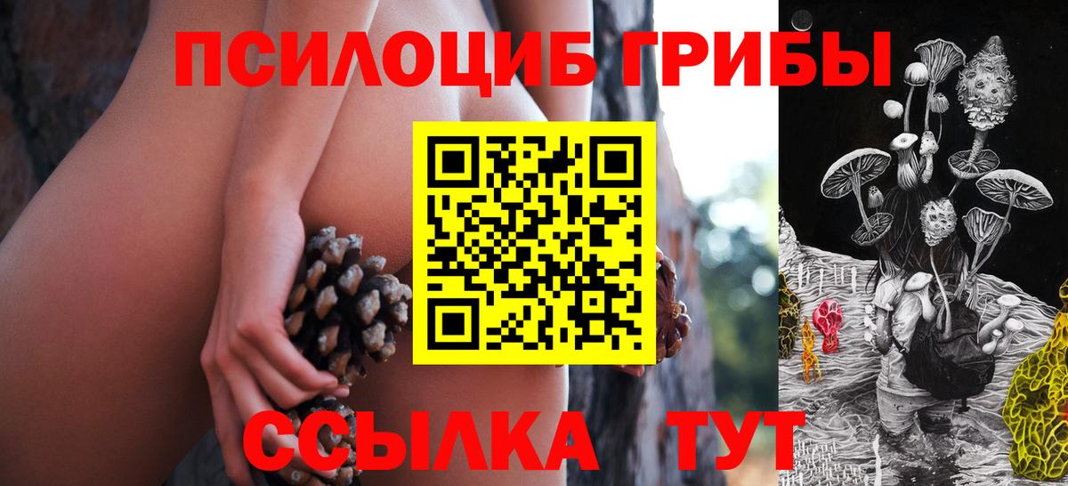 Галлюциногенные грибы ЛСД Гуково