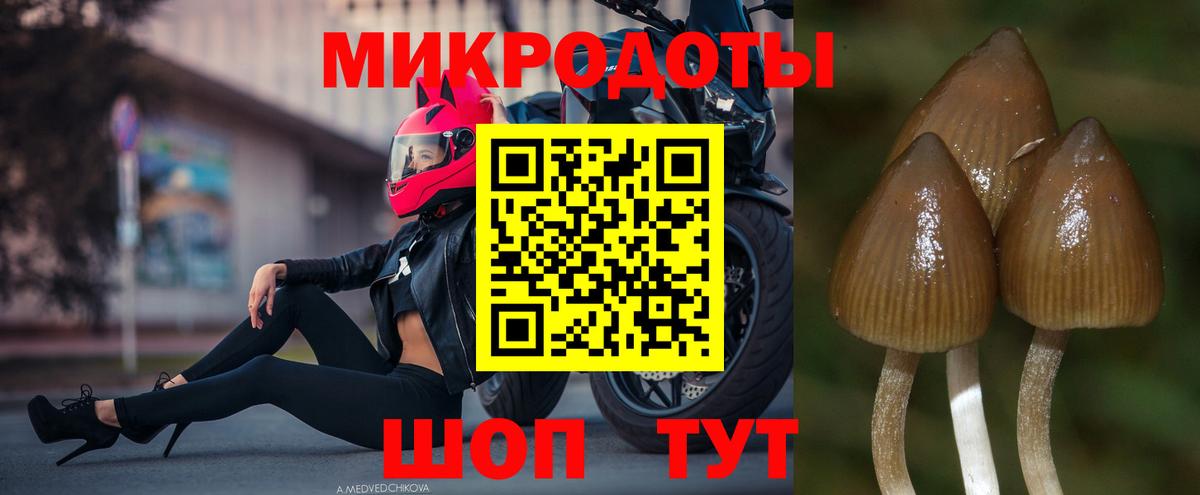 Галлюциногенные грибы мицелий  сколько стоит  Гуково  Вход с VPN 